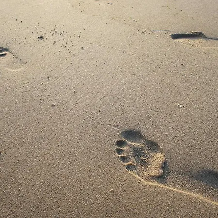 아파트 An Bord 단가스트