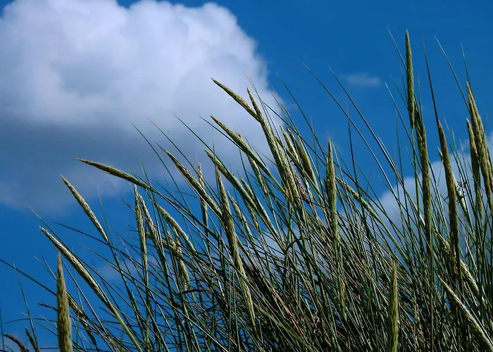 An Bord 아파트 단가스트