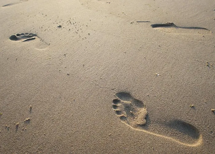 아파트 An Bord 단가스트